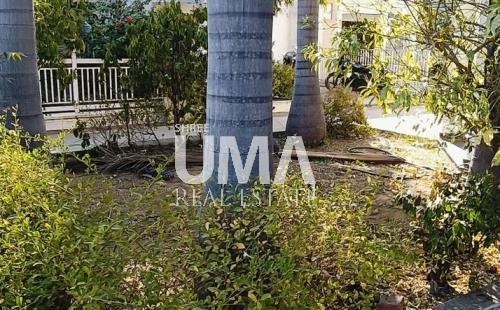 WhatsApp_Image_2025-08-21_at_4.28.08_PM__1_