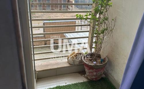 WhatsApp_Image_2025-08-23_at_3.25.36_PM__1_